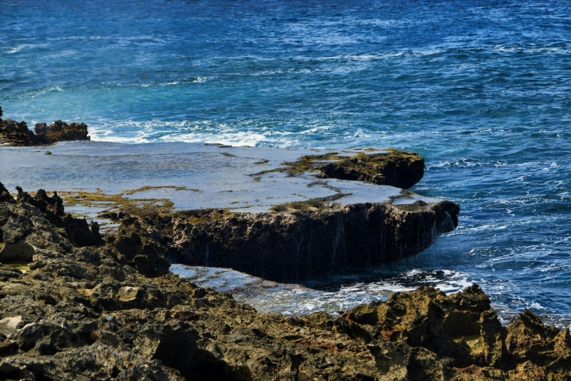 Tag-17-Watamula-Hole-1291