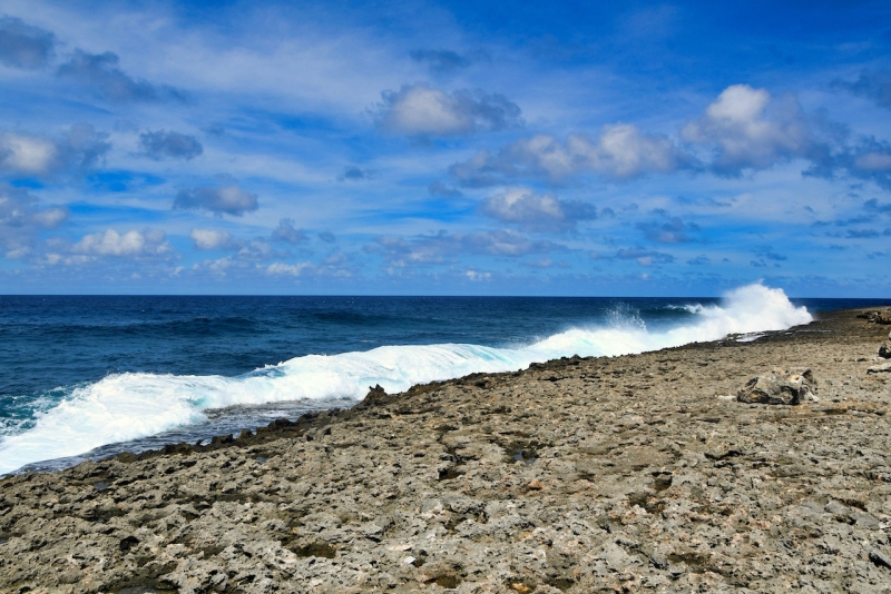 Tag-17-Watamula-Hole-1303