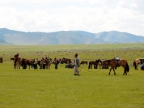 16-naadam-fest-2139