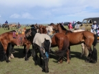 16-naadam-fest-2155