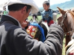 18-naadam-fest-2271