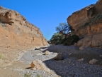 tag-03-sossusvlei-0116