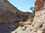 tag-03-sossusvlei-0117
