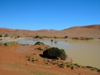 tag-03-sossusvlei-0132