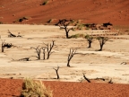 tag-03-sossusvlei-0144