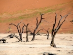 tag-03-sossusvlei-0146