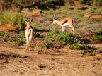 tag-03-sossusvlei-0153