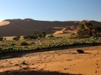 tag-03-sossusvlei-0154