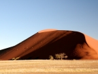 tag-03-sossusvlei-0155