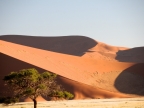 tag-03-sossusvlei-0157