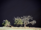 tag-03-sossusvlei-0159