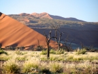 tag-03-sossusvlei-0160