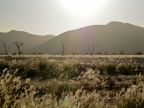 tag-03-sossusvlei-0161