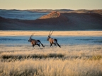 tag-03-sossusvlei-0165
