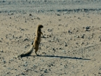 tag-04-05-swakopmund-0172