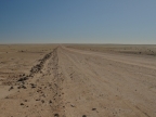 tag-04-05-swakopmund-0185