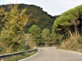 Tag 04-2 Vesuvio - 003