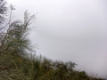 Tag 04-2 Vesuvio - 014