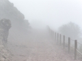 Tag 04-2 Vesuvio - 029
