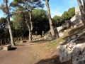 Tag 06 Capri - 067