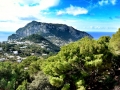 Tag 06 Capri - 100