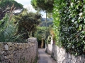 Tag 06 Capri - 124