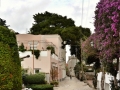 Tag 06 Capri - 158