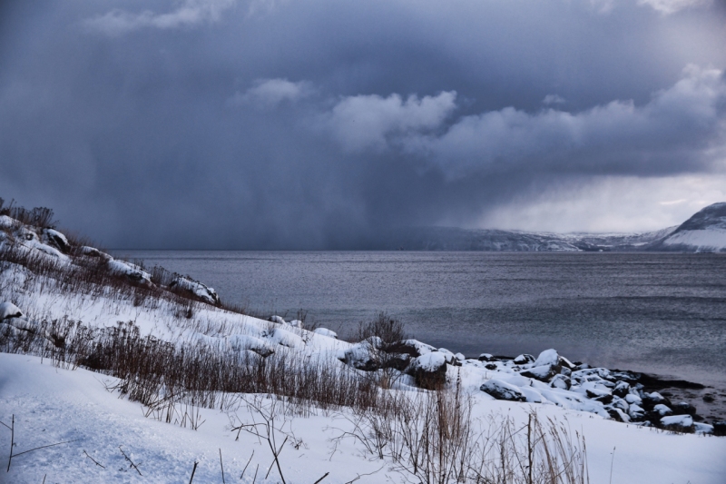 21-Harstad-1105