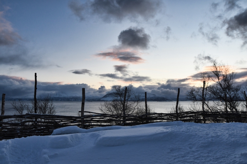 21-Harstad-1137