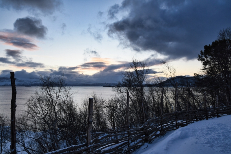 21-Harstad-1138