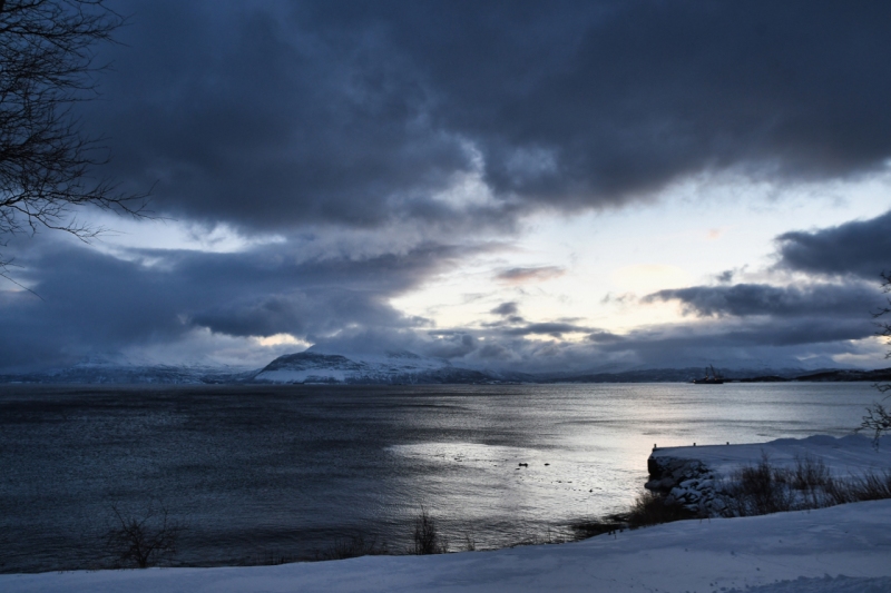 21-Harstad-1146