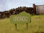 chile-2013-tag-16-1-rano-kau-2508