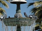 11_arequipa-415