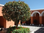 11_arequipa-449