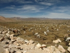 12_fahrt_nach_puno-561