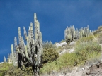 14_fahrt_colca_tal-635