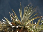 14_fahrt_colca_tal-641