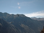 15_cruz_de_condor-673