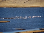 16_fahrt_nach_puno-679