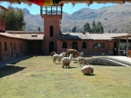 21_fahrt_nach_cusco-894