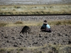 21_fahrt_nach_cusco-911