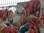 25_cusco-1058