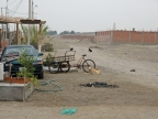 34_paracas-1276
