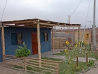 34_paracas-1280