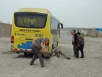 34_paracas-1282