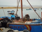 35_paracas_np-1298