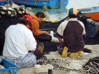 35_paracas_np-1300