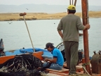 35_paracas_np-1301