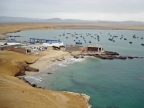 35_paracas_np-1309