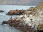 35_paracas_np-1316